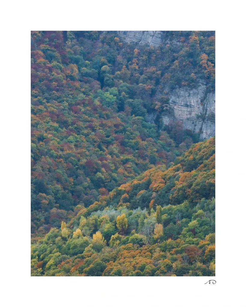 Images_PRODUIT-10.webp