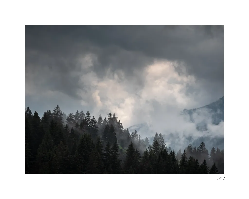 Ambiance vaporeuse-3.webp