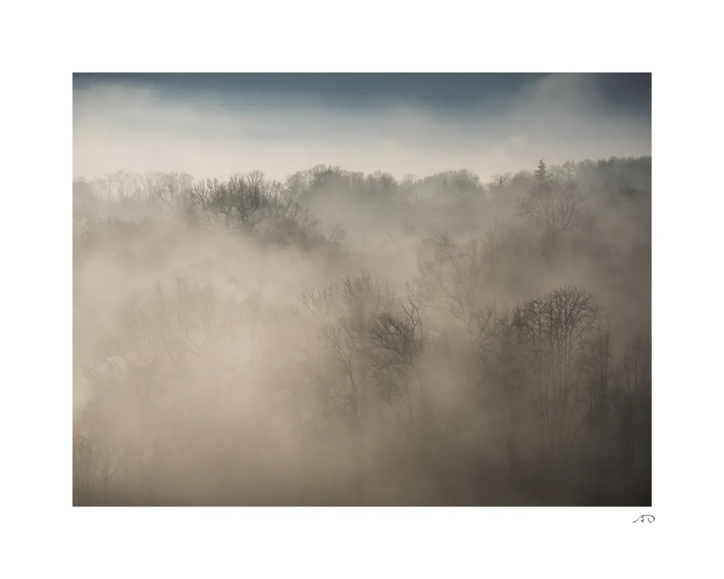 Ambiance vaporeuse-5.webp