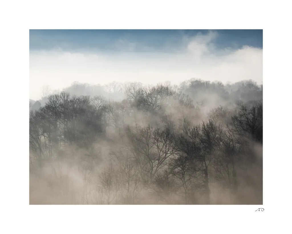 Ambiance vaporeuse-6.webp