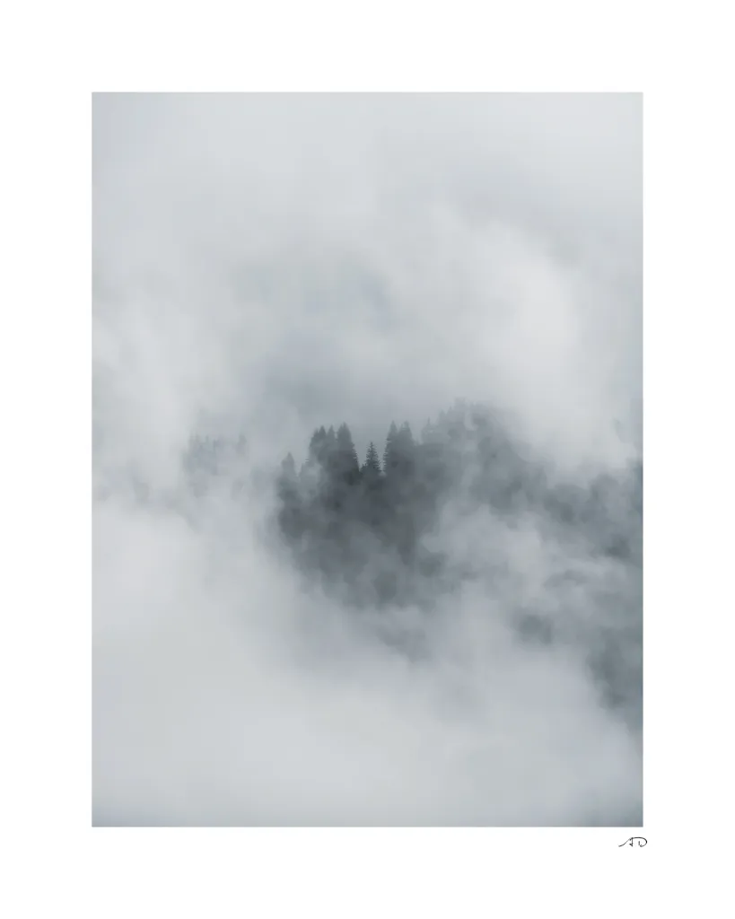 Ambiance vaporeuse-8.webp