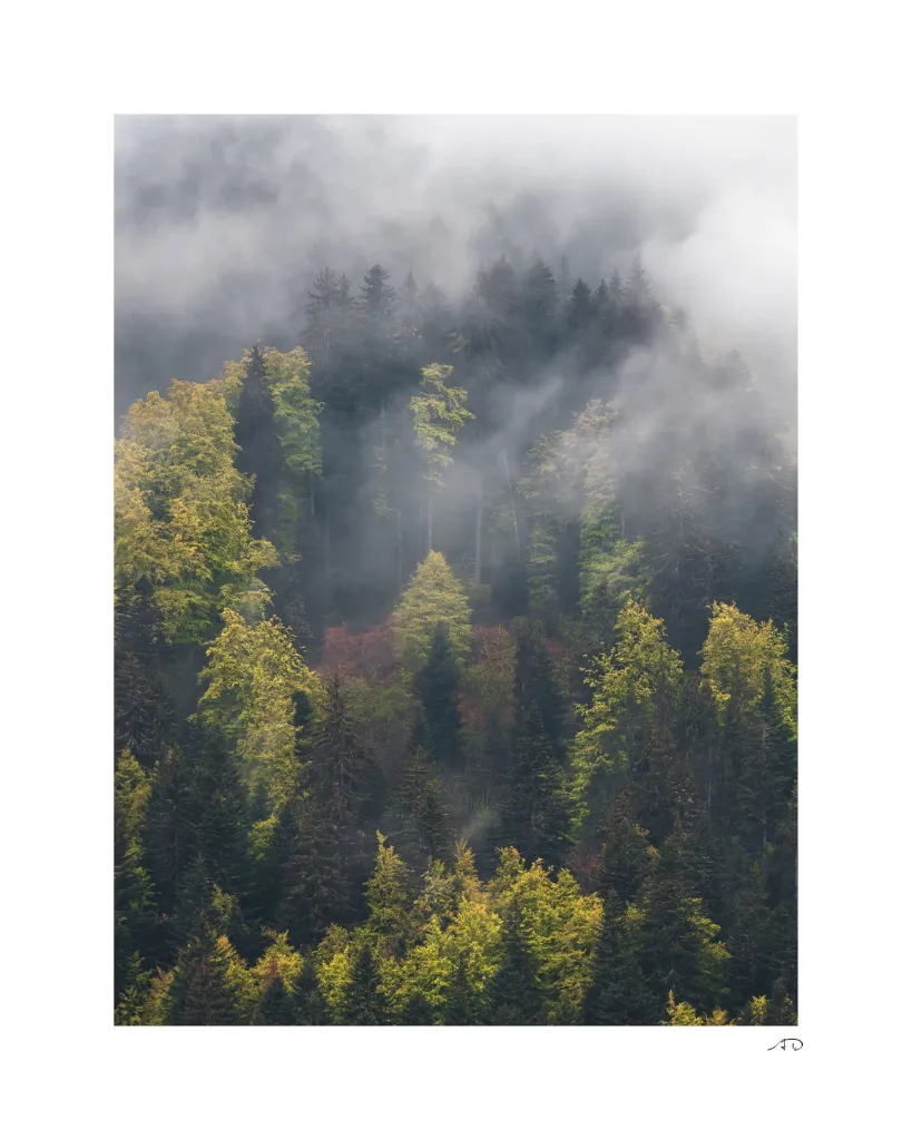 Ambiance vaporeuse-9.webp