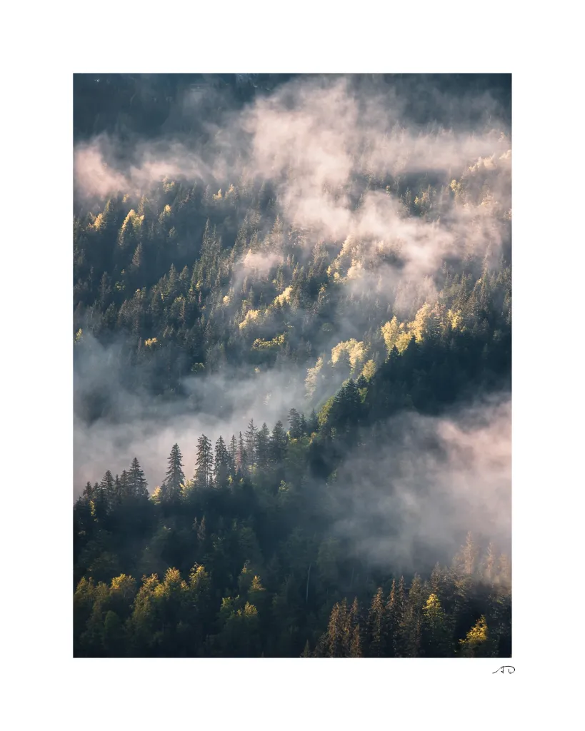 Ambiance vaporeuse-10.webp