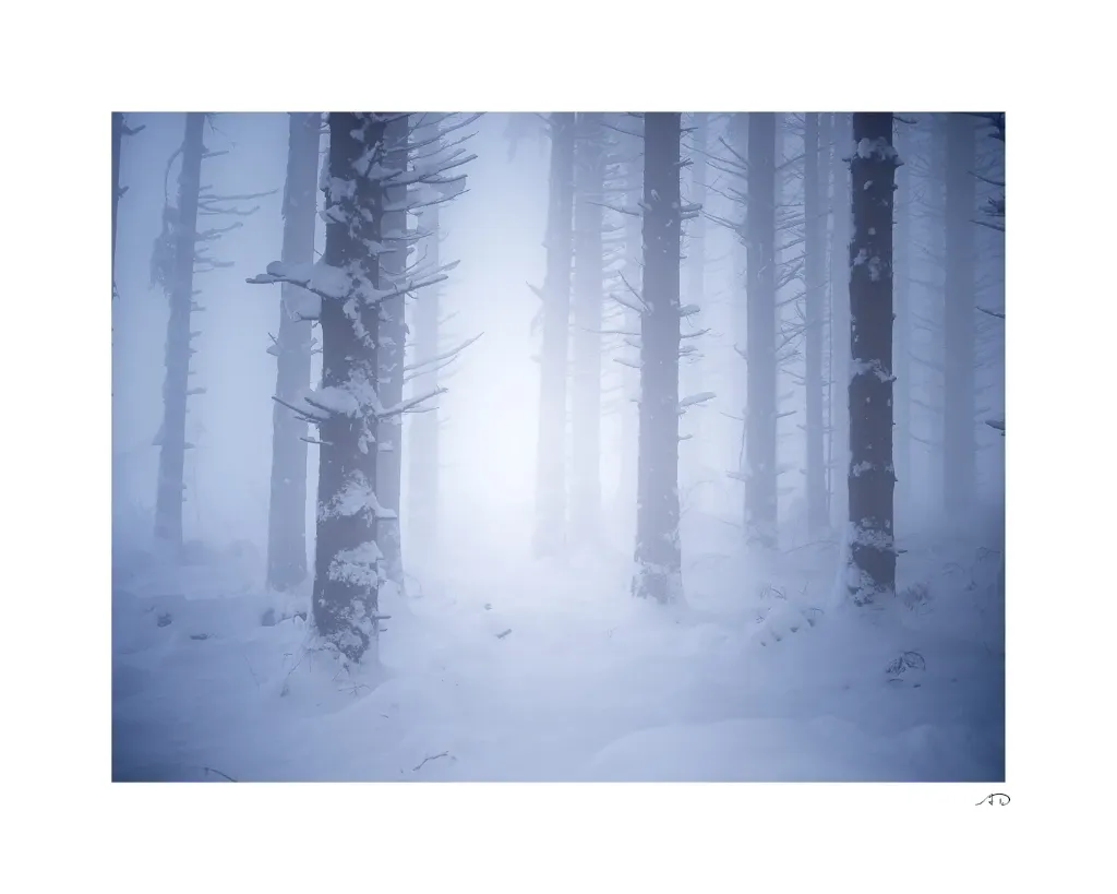 Lumières Hivernales #01