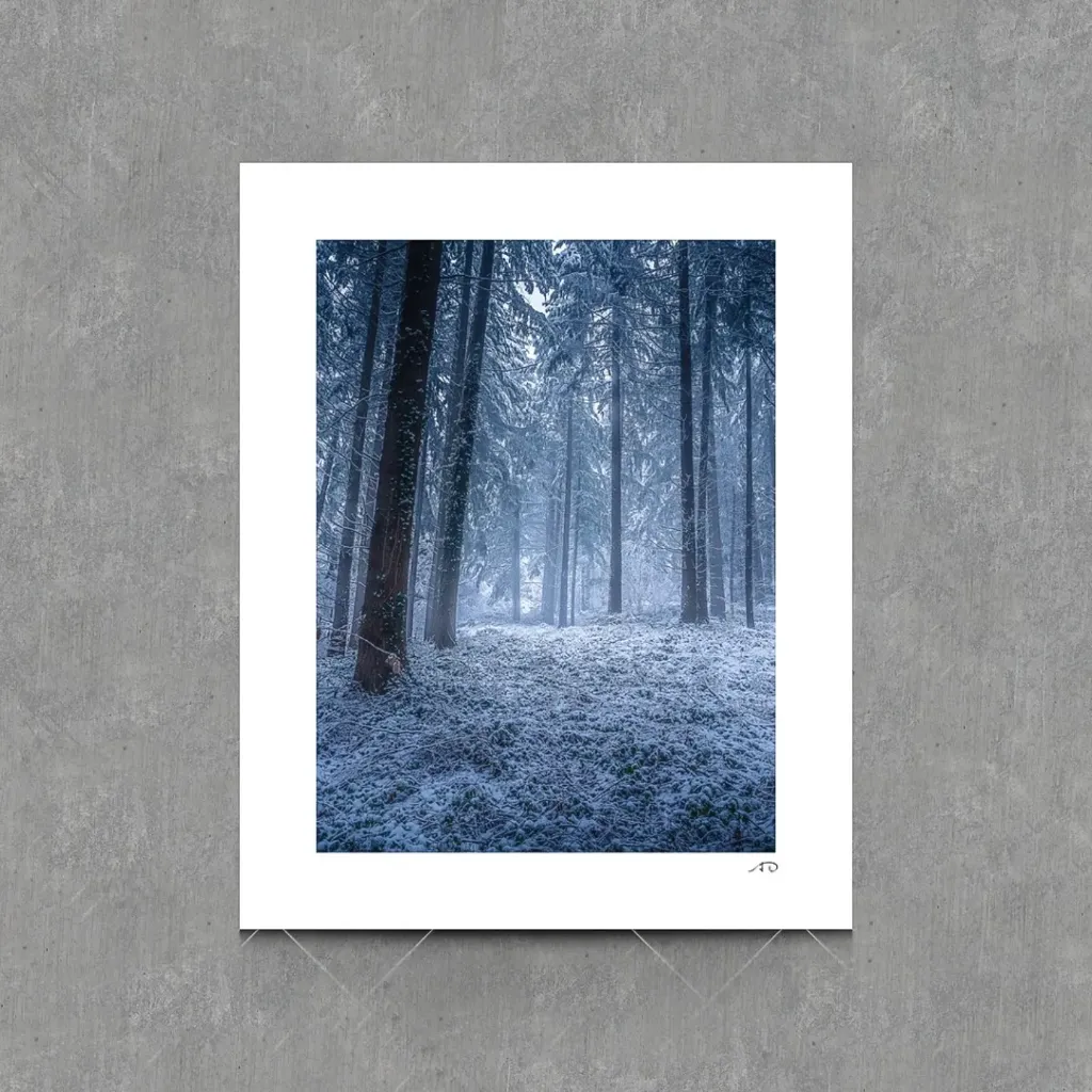 Lumières Hivernales #02