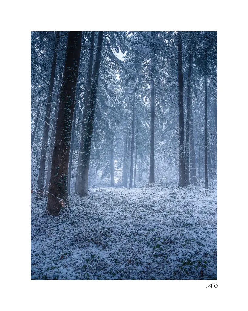 Lumières Hivernales #02