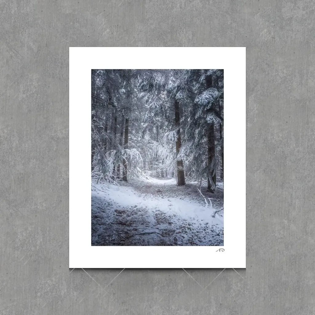 Lumières Hivernales #03