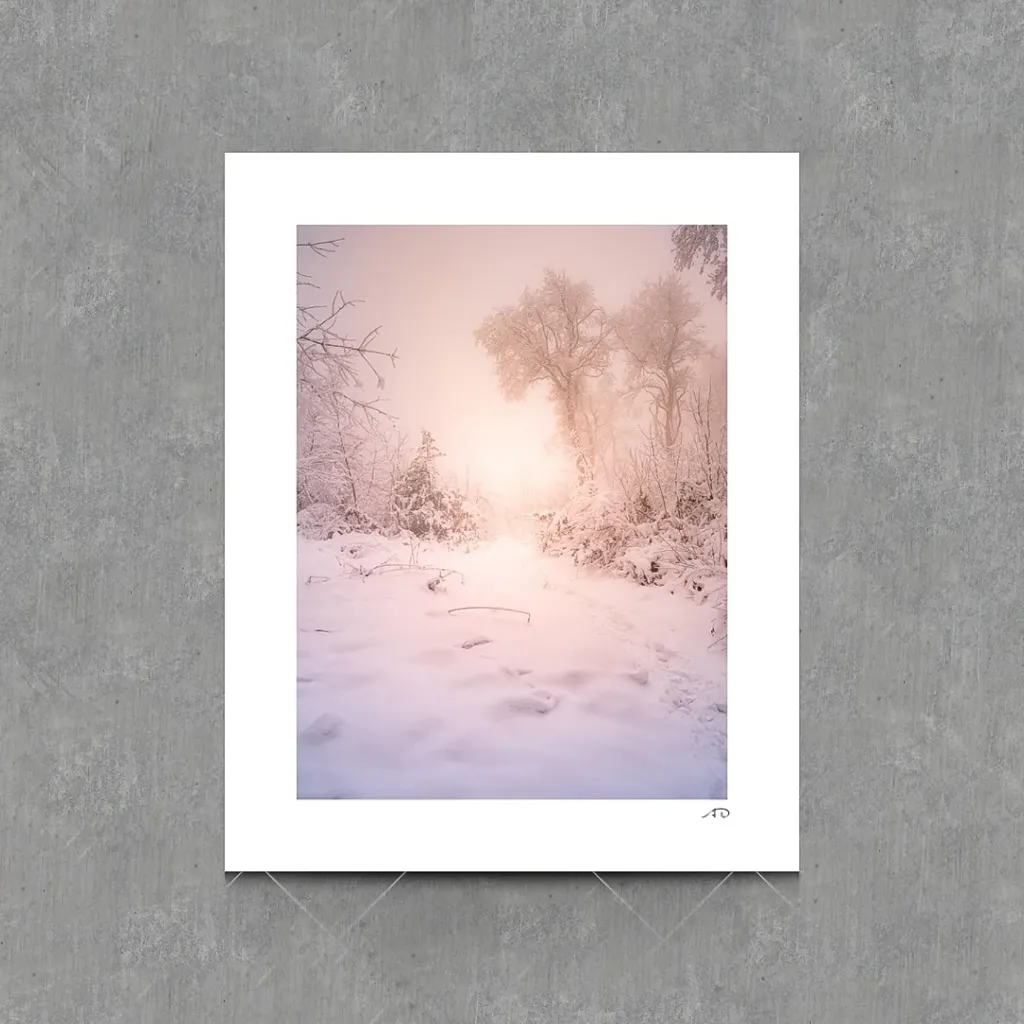 Lumières Hivernales #04