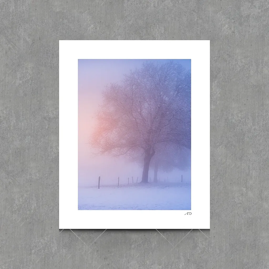 Lumières Hivernales #05