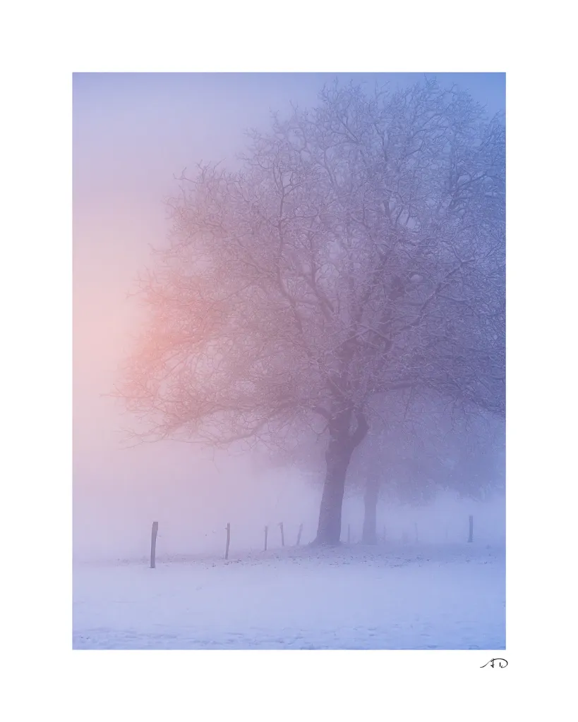 Lumières Hivernales #05