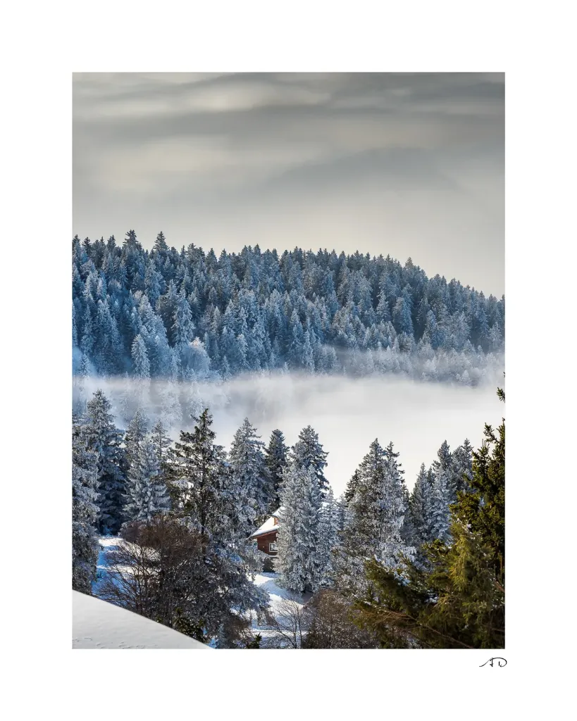 Lumières Hivernales #07