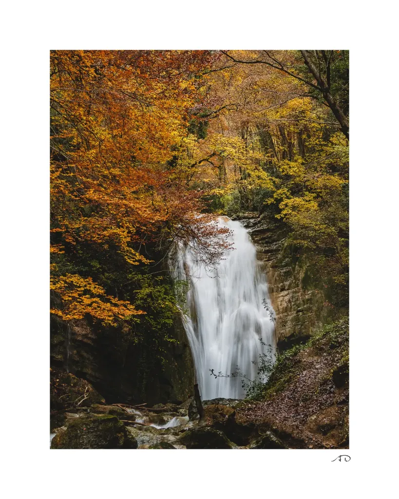 Lumières Automnales #01