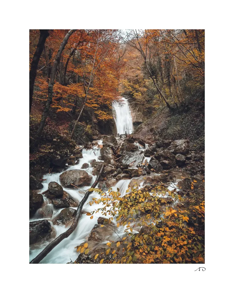 Lumières Automnales #02