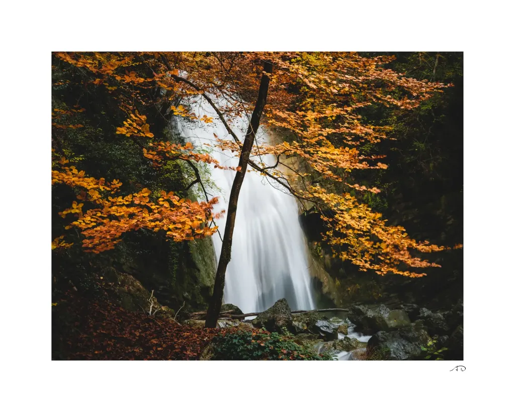 Lumières Automnales #03