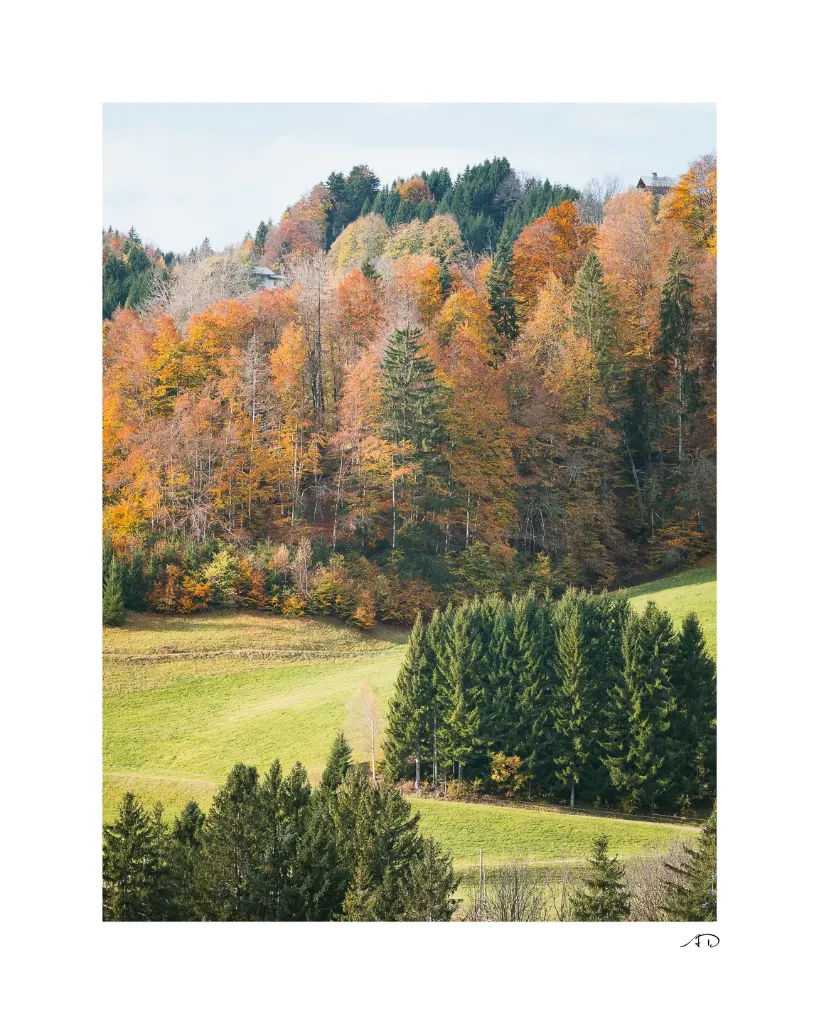 Lumières Automnales #10