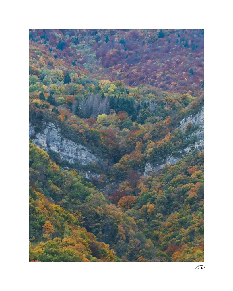 Lumières Automnales #14