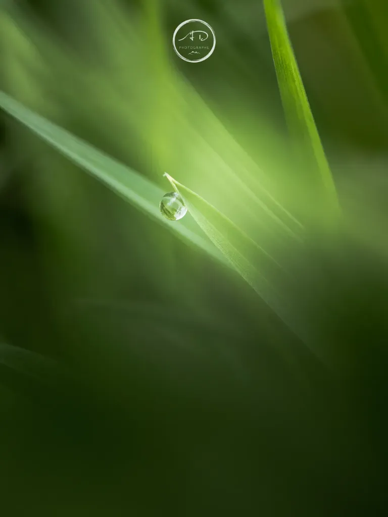 Dernière goutte #03 (Alu Dibond® impression directe, ARTBOX, 50x67)