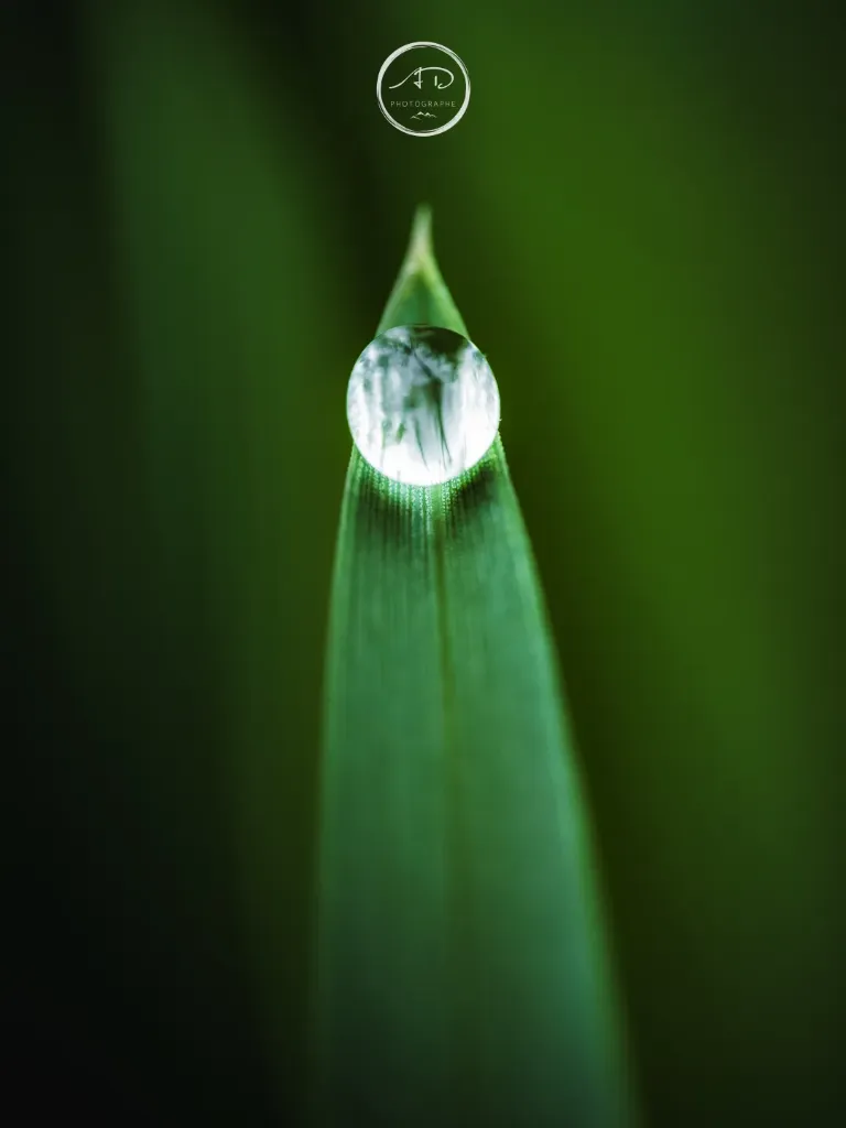 Dernière goutte #04 (Alu Dibond® impression directe, ARTBOX, 50x67)