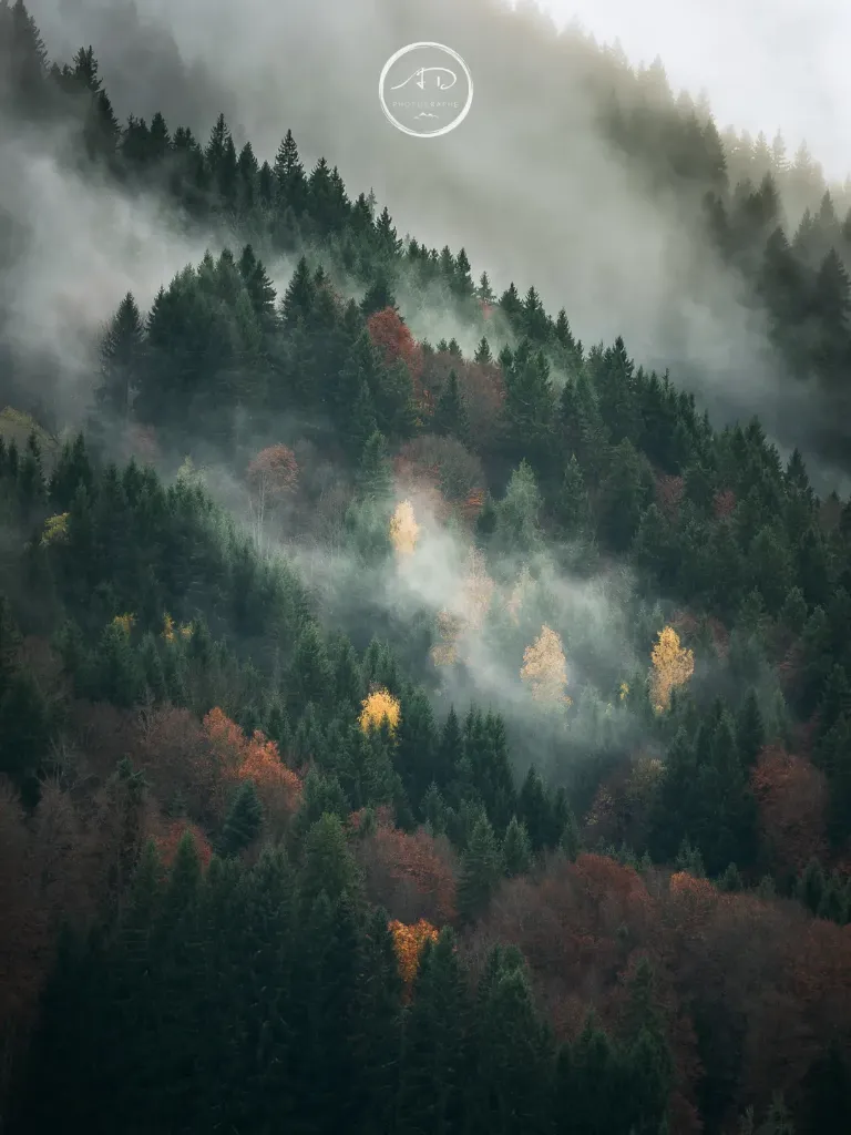 Les Brumes du Nant Rouge #01