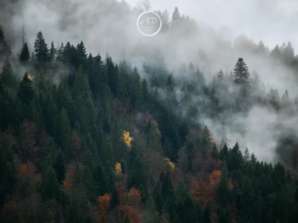 Les Brumes du Nant Rouge #02